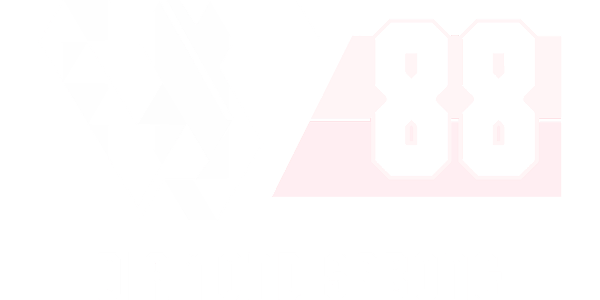 DS88 game provider