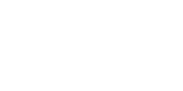 FS game provider