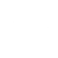 RLX game provider