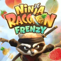 Ninja Raccoon Frenzy