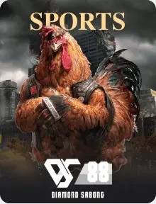 DS88